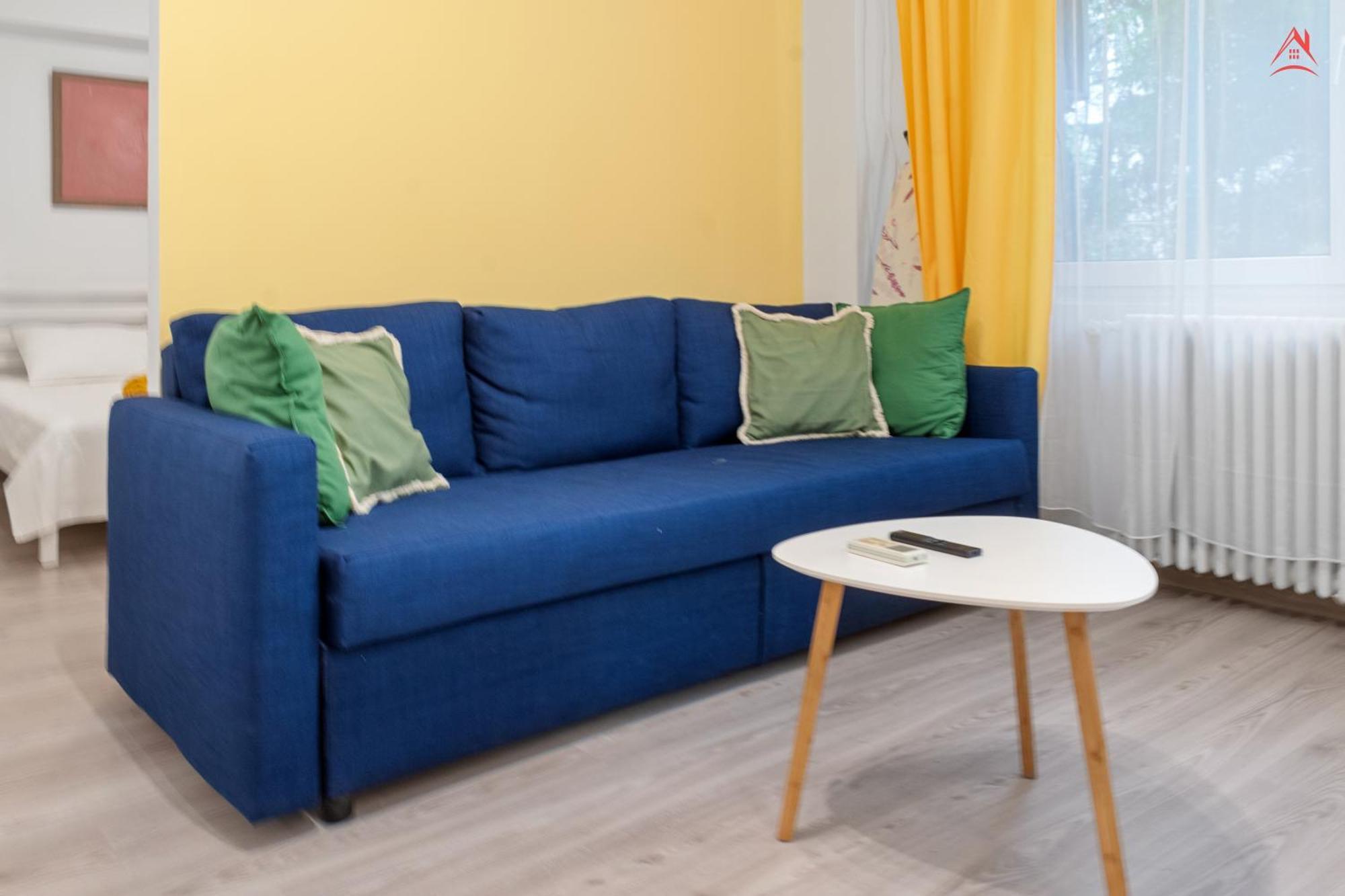 Calea Victoriei Apartment *