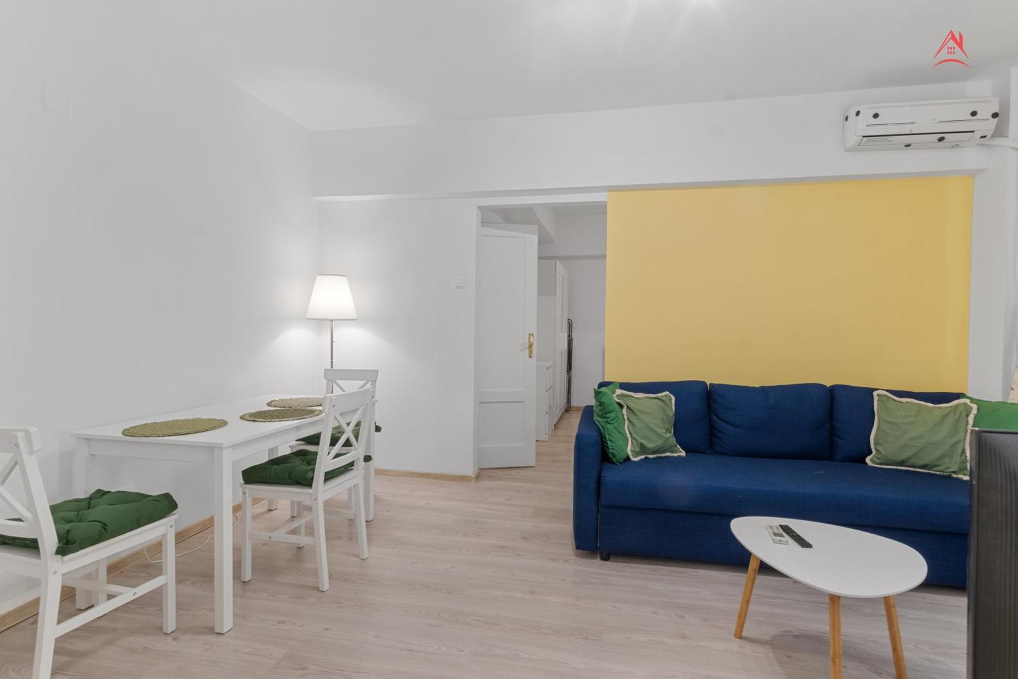 Calea Victoriei Apartment *